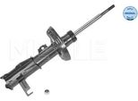 Ammortizzatore Opel Insignia Anteriore 1.4-2.0 Cdti 07.08- Pr