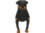 Rottweiler Simulazione Modello Ornamenti Decorazione Desktop Bambino Giocattolo Educativo