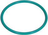 Guarnizione Valvola Egr Vw Golf 1,9Tdi 00-