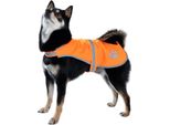 Inf Gilet Di Sicurezza Riflettente Per Animali Domestici - Gilet Anti-Smarrimento Ad Alta Visibilità Per Cani Per Passeggiate Notturne Arancia L