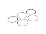 Fasce Elastiche Audi A1 1.2Tfsi 12-