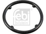 Guarnizione Radiatore Olio Febi Bilstein 186451 Per Vw Touareg (7LA 7L6 7L7) 2 5 Mm