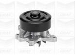 Graf PA953 - Oe 16100 09310 Pompa Dell'acqua Per Auris (E15), Avensis (T25), Celica (T23), Corolla (E12), Corolla Verso (E12), Rav 4 Ii (A2)