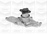 Graf PA917 - Oe 3382081 Pompa Acqua Per 323 (Ba), MX-3 (Ec), MX-6 (Ge), Xedos 6 (Ca), Xedos 9 (Ta)