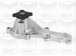 Graf PA830 - Pompa Acqua Oe 21010 4M526 Per Primera (P12), Primera (P11), Almera (B10), Almera Ii (N16), Almera Tino (V10)