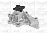 Graf PA823 - Pompa Acqua Oe B1010 AD226 Per Almera Ii (N16), Almera Tino (V10), Primera (P12), X-Trail (T30)