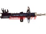 Fast FT11269 - Ammortizzatore Oe 50703309, Asse Anteriore Sinistro Per Panda