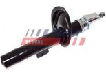 Fast FT11306 - Ammortizzatore Oe 5202 Er, Asse Anteriore Sinistro Per Berlingo, Xsara, Zx (N2), 306, Partner (5, G)