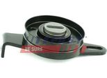 Fast FT44595 - Puleggia Tenditore Oe 4007 E4, Cinghia Con Nervatura A V Per Boxer