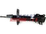 Fast FT11072 - Ammortizzatore Oe 51783654, Asse Anteriore Sinistro Per Punto