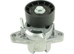 Fast FT44625 Rullo Tenditore Cinghia Trapezoidale Dentata Per Renault Clio Ii (BB0/1/2, CB0/1/2) Kangoo (KC0/1) ScéNic I (JA0/1, FA0) Kangoo Express (FC0/1) Laguna Ii