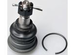 Denckermann Giunto Sferico Anteriore Per Nissan Primera (P12) D110122