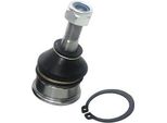 Denckermann Giunto Sferico Inferiore Anteriore Per Nissan Micra Ii (K11) D110023