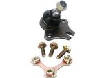 Denckermann Giunto Sferico Inferiore Anteriore Per Vw Golf Iii (1H1) D110088
