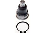 Denckermann Giunto Sferico Inferiore Anteriore Per Hyundai I10 (Pa) D110220