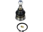 Denckermann Giunto Sferico Inferiore Anteriore Per Volvo V40 Estate (645) D110005