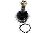 Denckermann Giunto Sferico Anteriore Per Ford Transit Connect (P65, P70, P80) D120186