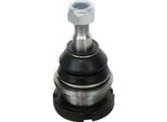 Denckermann Giunto Sferico Inferiore Anteriore Per MERCEDES-BENZ Classe M (W163) D110139