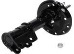 MASTER-SPORT 312581-PCS-MS Ammortizzatore, Asse Posteriore, Destro Per Hyundai Coupe Ii (Gk)