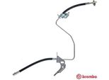 Brembo T 59 071 - Bremsschlauch Oe 13116137 Per Astra (A04), Astra G, Astra H, Combo, Combo Tour, Meriva (X03), Meriva B (S10), Zafira A, Zafira B