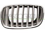 Prasco BM8222014 - Griglia Radiatore Oe 51137185223, Sinistra Per X5 (E70)