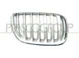 Prasco BM8202033 - Griglia Radiatore Oe 51137124816, Destra Per X5 (E53)