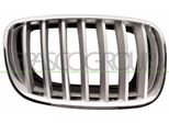 Prasco BM8222013 - Griglia Radiatore Oe 51137185224, Destra Per X5 (E70)