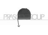 Prasco FT1331250 - Oe 735276492 Flap, Gancio Di Traino Anteriore Per Punto