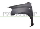 Prasco DW3273014 - Parafango Oe 96476683, Anteriore Sinistro Per Aveo (T250, T255)