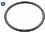 Vaico V10-2571 Guarnizione Alloggiamento Filtro Aria 07C129646 1525A010 357129625 Per Vw Golf Iv Hatchback (1J1) Golf V Hatchback (1K1) Golf Vii Hatchback