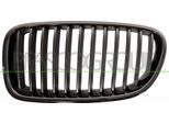 Prasco BM0492004 - Griglia Radiatore Oe 51712165539, Sinistra Per Serie 5 (F10), Serie 5 (F11)