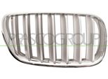 Prasco BM8032013 - Griglia Radiatore Oe 51113420090, Destra Per X3 (E83)