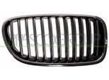 Prasco BM0482003 - Griglia Radiatore Oe 51137200728, Destra Per Serie 5 (F10), Serie 5 (F11)