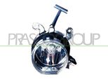 Prasco BM0184424 - Fendinebbia Oe 63178371907, Sinistro Per Serie 3 (E46)