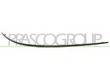 Prasco ME4201227 - Oe A1698851474 Modanatura, Paraurti Anteriore Destro Per Classe B (W245)