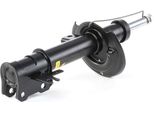 Monroe G8004 - Ammortizzatore Oe 344098 Per Astra H, Zafira B, Astra (A04)