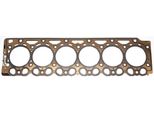 Elring 687.055 Guarnizione Testata Per Same Audax St Per Lamborghini Mach Per Pfanzelt Pm Trac Per DEUTZ-FAHR Serie 6