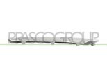 Prasco BM8221244 - Modanatura Oe 51117168923, Paraurti Anteriore Sinistro Per X5 (E70)