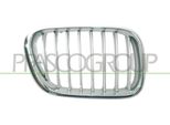 Prasco BM8202013 - Griglia Radiatore Oe 51138250052, Destra Per X5 (E53)