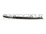 Prasco ME4422203 - Oe A2058880373 Modanatura, Griglia Radiatore Destra Per Classe C (W205), Classe C (S205)