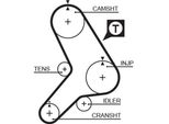 Gates 5180 - Cinghia Dentata Oe 46461038 Per 145 (930), 146 (930), 155 (167), Brava, Bravo, Tipo