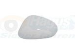 Van Wezel 4939843 Copertura Specchietto Esterno Sinistro Per Seat Leon Hatchback (1P1) Copertura Specchietto Con Primer