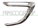 Prasco PG2061204 - Oe 1612203380 Striscia Di Rivestimento, Griglia Radiatore Sinistra Per 108