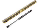 Monroe ML5832 - Oe 1X4316C826AC Ammortizzatore Del Cofano Per X-Type (X400), T6, T5