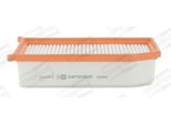 Champion CAF101062P - Filtro Aria Oe 16 54 698 43R Per Dokker, Duster, Lodgy, Logan, Sandero, Captur I (H5, J5), Clio Iv, Logan Ii, Thalia Iii (L8)