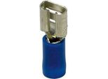 Carpoint Manicotto Connettore Piatto 542 Blu 6,3X0,8 Mm 10 Pezzi