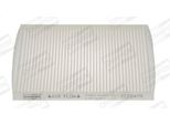 Champion CCF0479 Filtro Abitacolo Filtro Antipolline Per Hyundai Accent Iv (Rb)