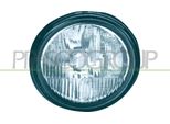 Prasco RN3044413 - Oe 7701040693 Fendinebbia Anteriore, Destro Per Movano (X70), Clio Ii, Kangoo (Kc), Kangoo (Fc), Megane I, Twingo I (C06), Twingo I (S06)