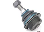 Stark SKSL-0260039 - Oe 16 072 986 80 Giunto Sferico Superiore Anteriore Per C5 Iii (Rd), C5 Iii (Rw), C6 (Td), 407, 407 Sw (6D, 6E), 508 (8D), 508 (8E)