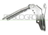 Prasco VG0223703 - Oe 6Q0823302B Cerniera, Cofano Destro Per Polo (9N)